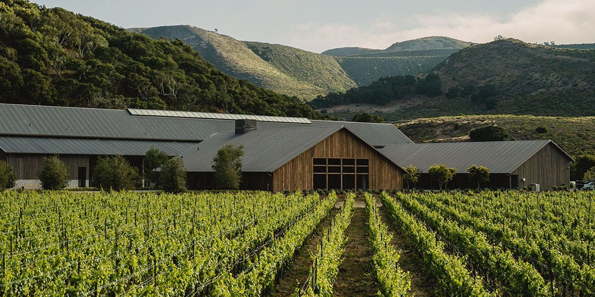 What Wineries Can Learn from DTC Brands: 5 Takeaways to Put Into Practice